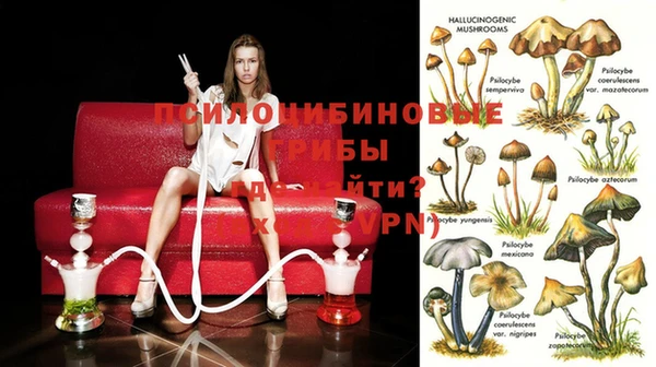 кокаин премиум Баксан