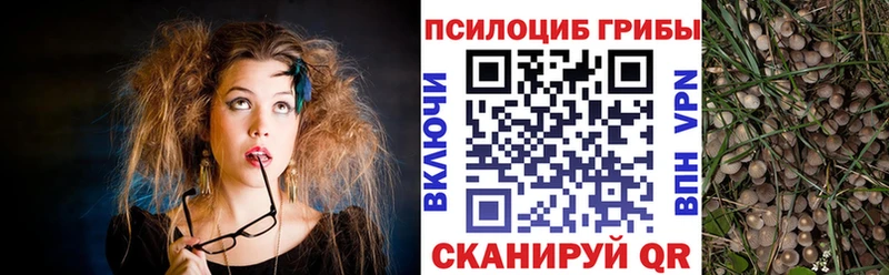 Галлюциногенные грибы мицелий  Спас-Клепики 